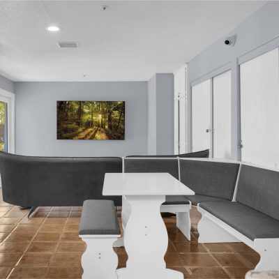 3T7A1220_tv_no_weeds_window